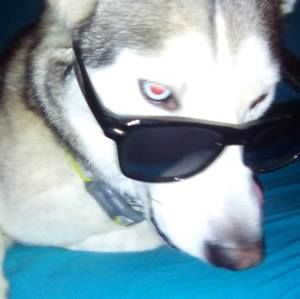 Meet your Posher, John